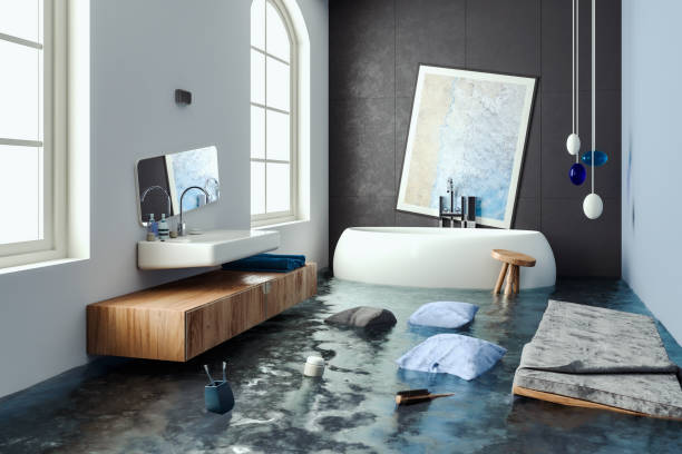 Best Mold removal after water damage  in Cheney, KS