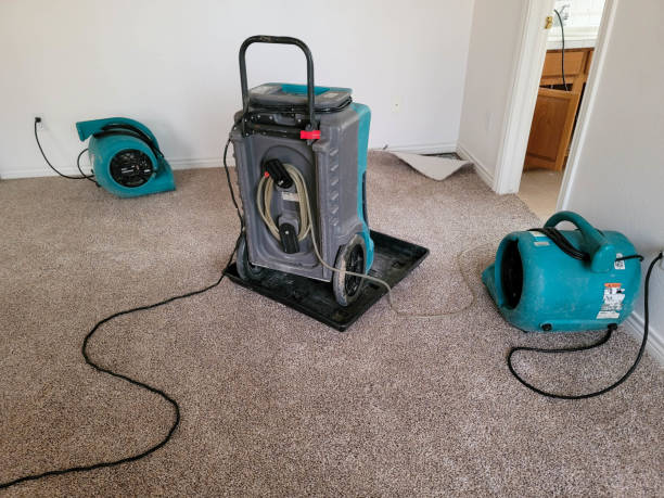 Best Emergency water damage restoration  in Cheney, KS