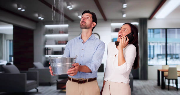 Best Water damage restoration near me  in Cheney, KS