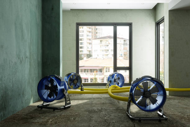 Best Fire Damage Restoration  in Cheney, KS